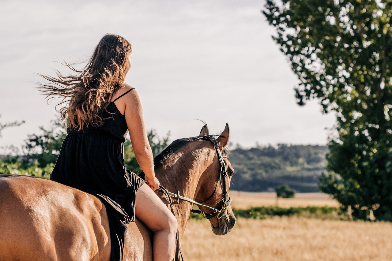 Finding the Middle Ground: Ethical Riding Practices (Image Credits: Pixabay)