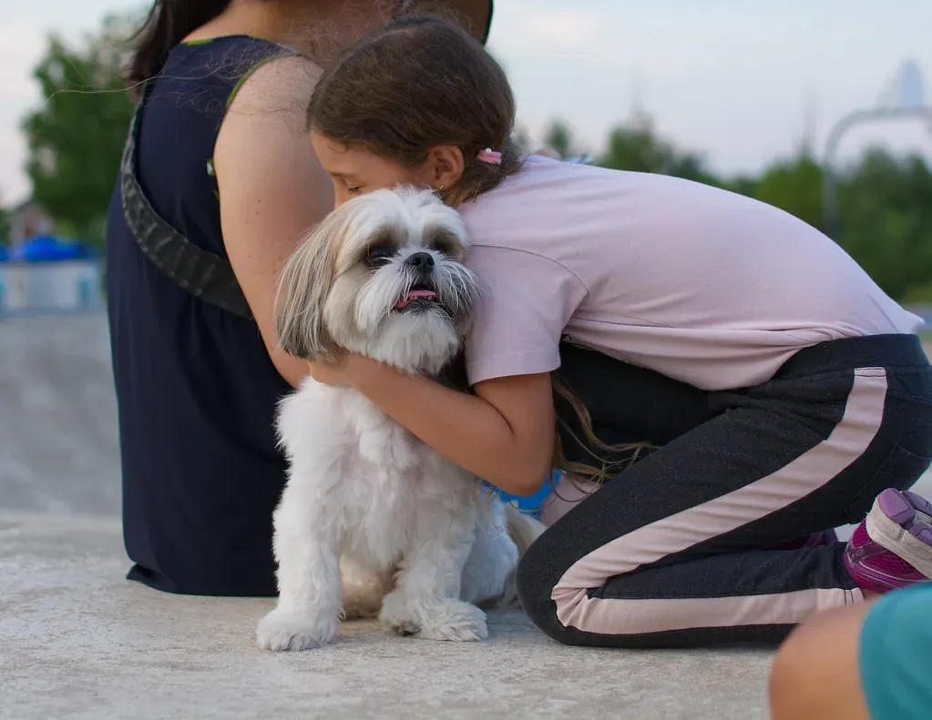 The Verdict: Worth the Work? (Image Credits: Flickr)