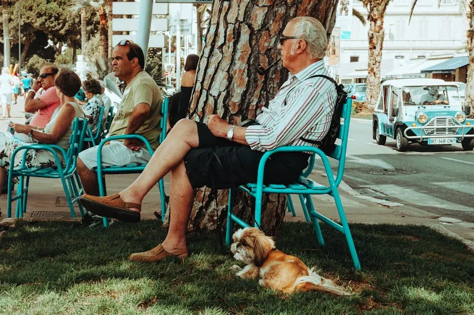 9. Afternoon Rest Time: Sleeping Together and the Comfort of Warmth (Image Credits: Pexels)