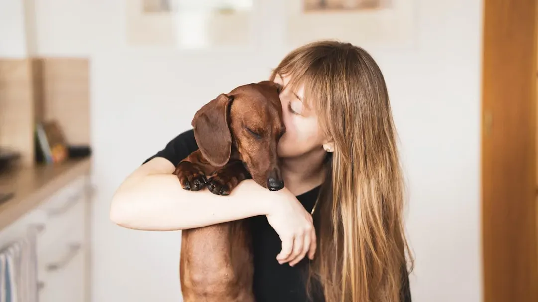#10. Dachshund (Image Credits: Unsplash)