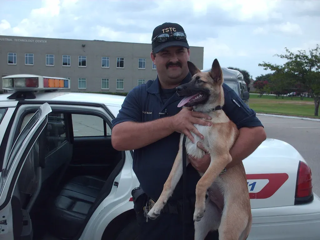 Conclusion: Stars Align, But Work Still Required (Image Credits: Flickr)