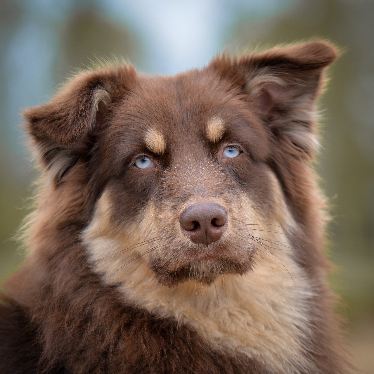Hard Eyes - The Warning You Don't Want to Miss (Image Credits: Pixabay)