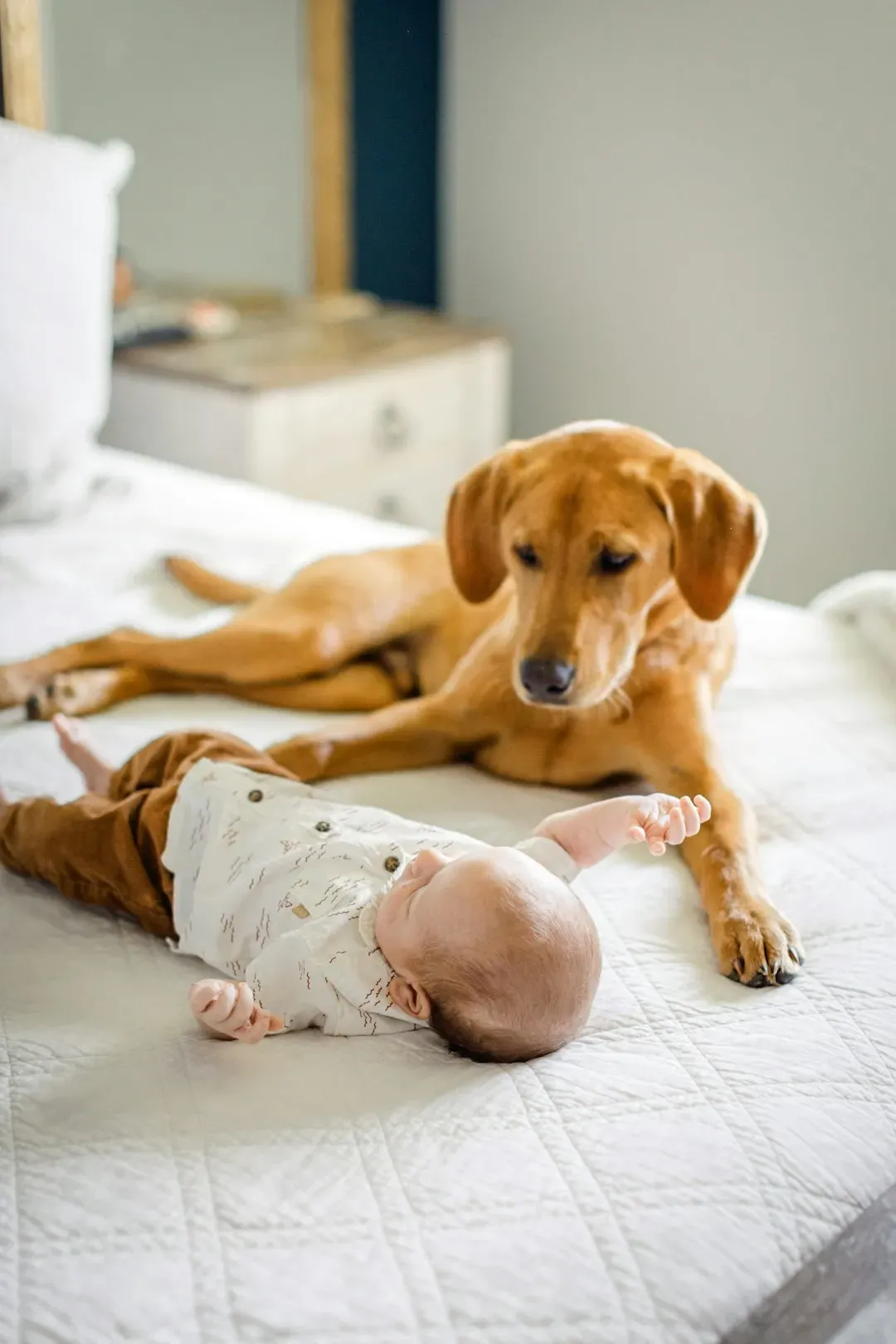 #15 - Meeting the New Baby for the First Time (Image Credits: Unsplash)