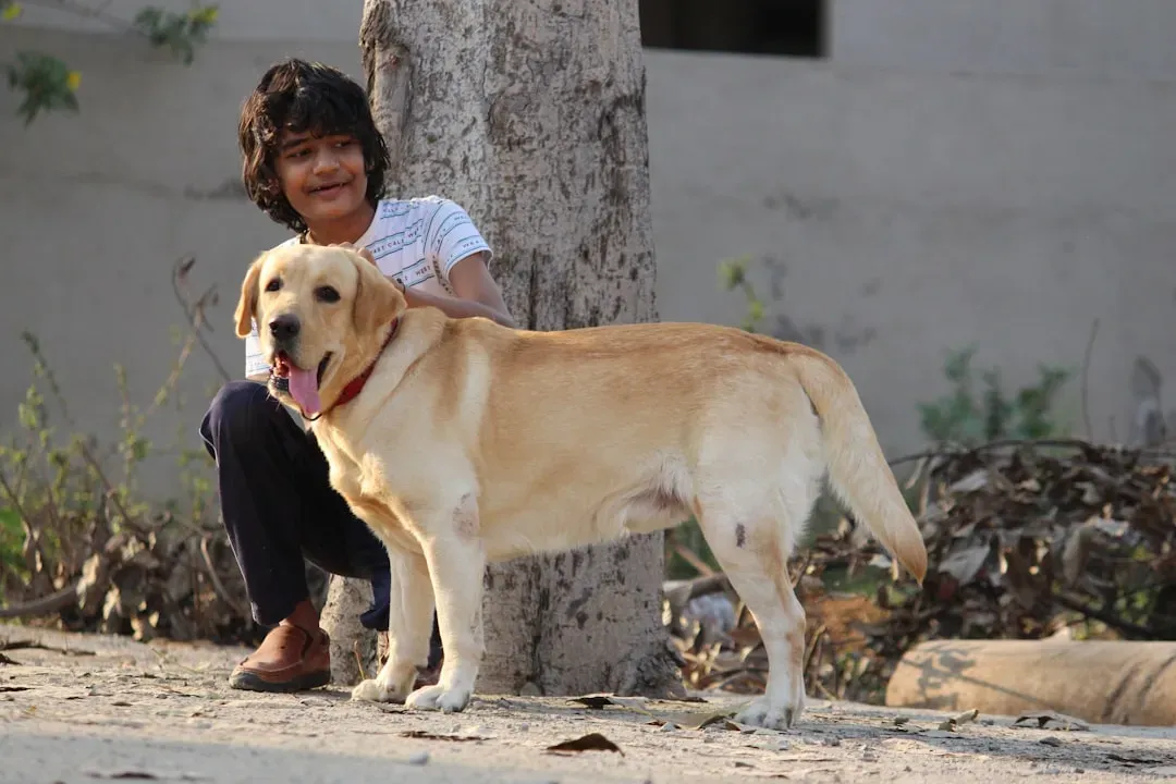 1. Labrador Retriever (Image Credits: Unsplash)