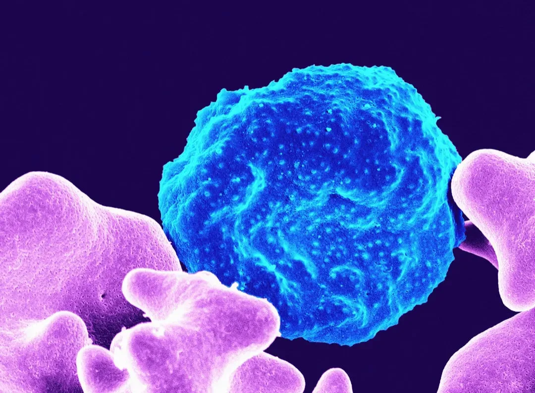 The Hidden Choreography of Cell Turnover (Image Credits: Unsplash)