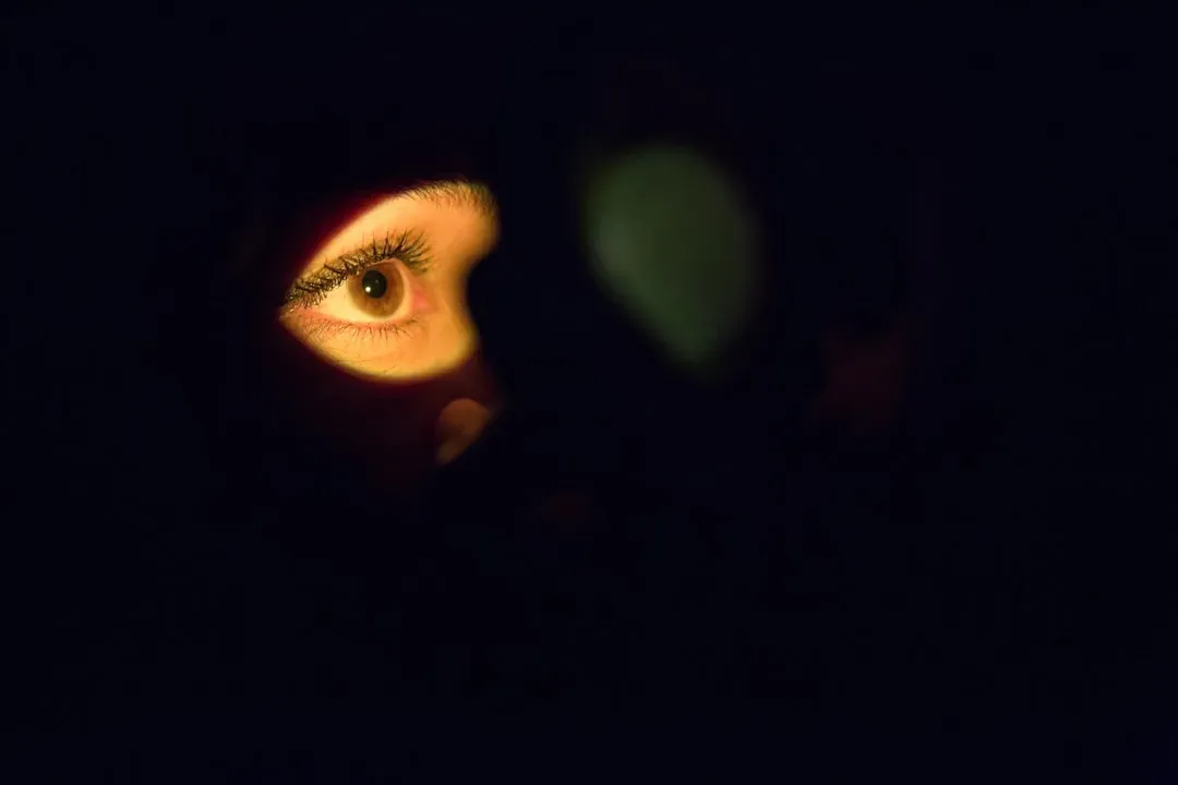 Attention, Emotion, and the Gravitational Pull of Meaning (Image Credits: Unsplash)