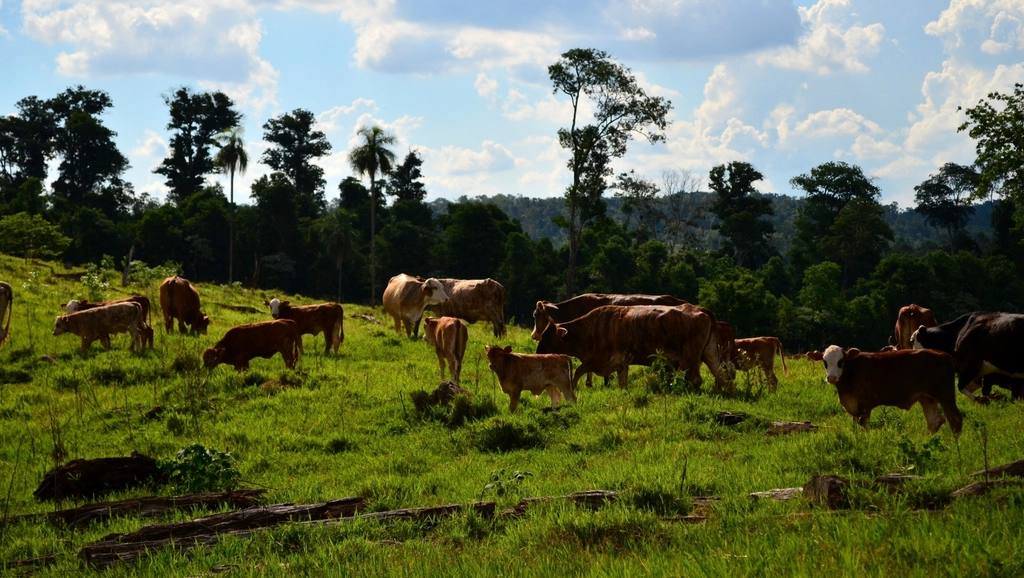 Fort Belknap Indian Community, Montana: Tribal Grasslands Power a Comeback (Image Credits: Rawpixel)