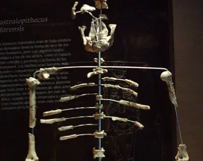 4. Lucy and the Realization That Our Story Is Deeper Than We Thought (Image Credits: Wikimedia)