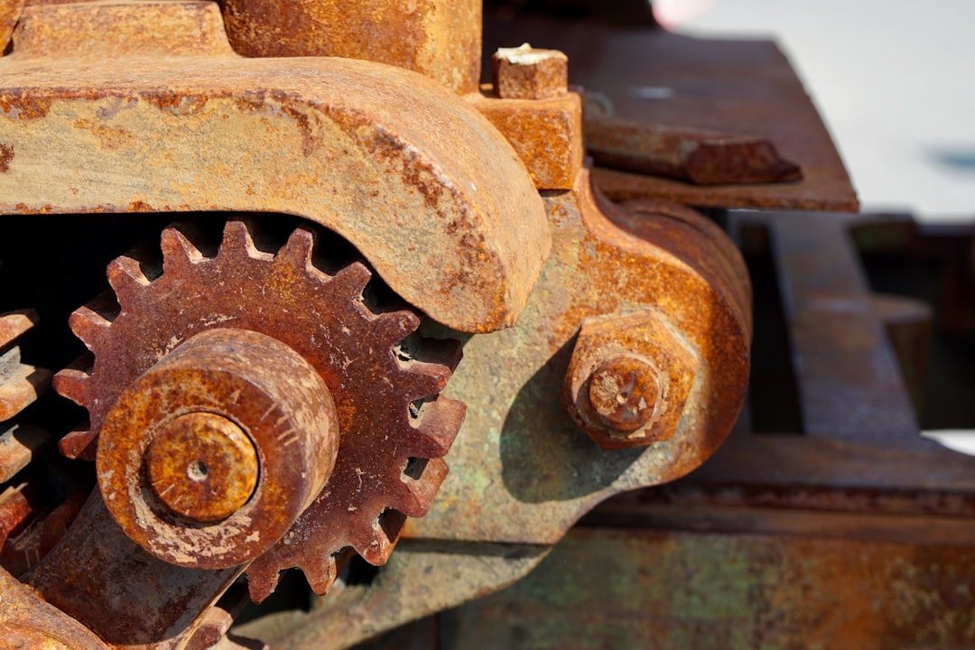 The Wear-and-Tear Hypothesis: Damage Accumulates, Systems Fail (Image Credits: Unsplash)