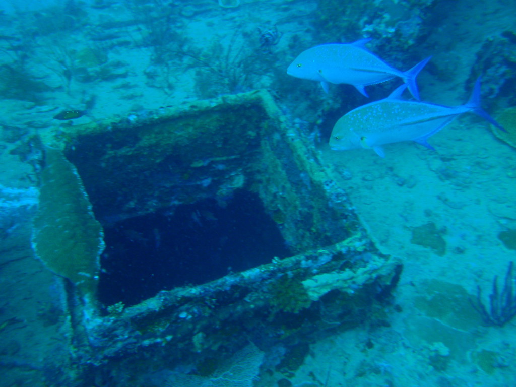 The Mysterious F.J. King in Lake Michigan (Image Credits: Flickr)