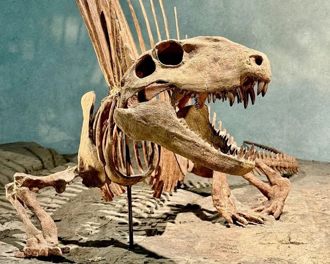 Evolutionary U-Turns: When “Losing” Traits Is Actually Winning (Image Credits: Unsplash)