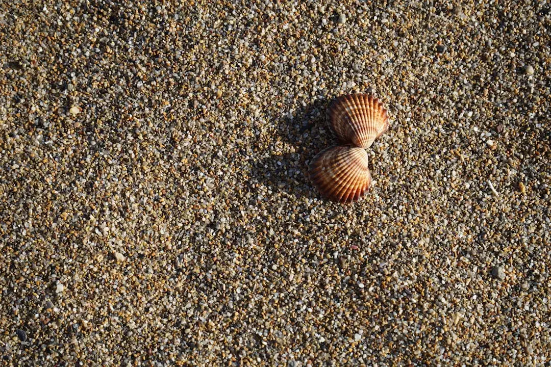Carnivorous Bivalves at Record Depths (Image Credits: Unsplash)