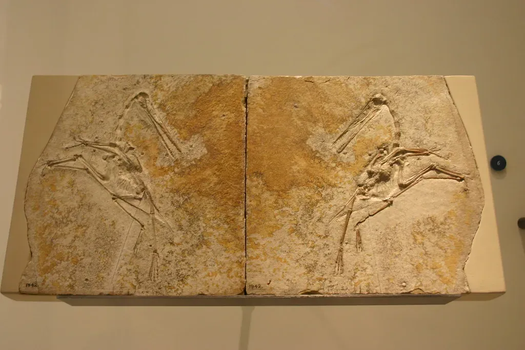 Conclusion: Why Aerodactylus Still Deserves Our Awe (Ryan Somma, Flickr, CC BY-SA 2.0)