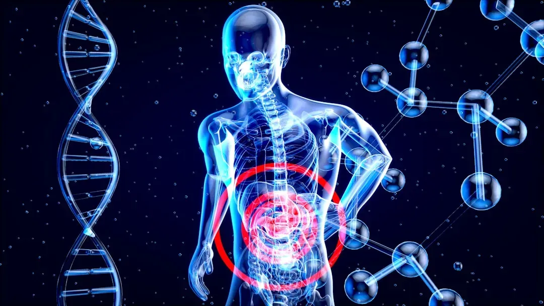 Inside Your Liver and Fat Cells: Storing the Extra Sugar (Image Credits: Unsplash)
