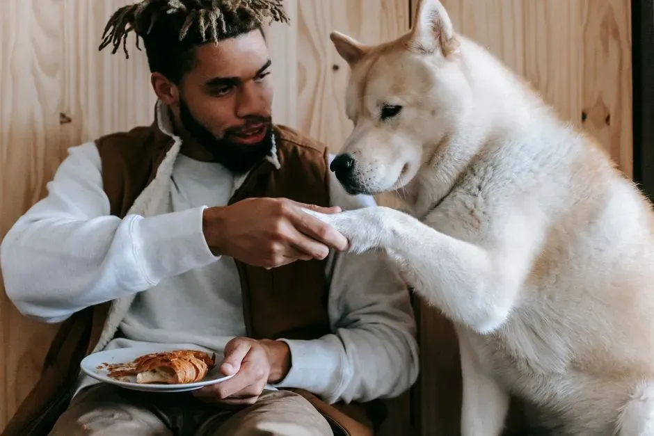 Dogs Read Micro‑Expressions And Body Language You Miss (Image Credits: Pexels)