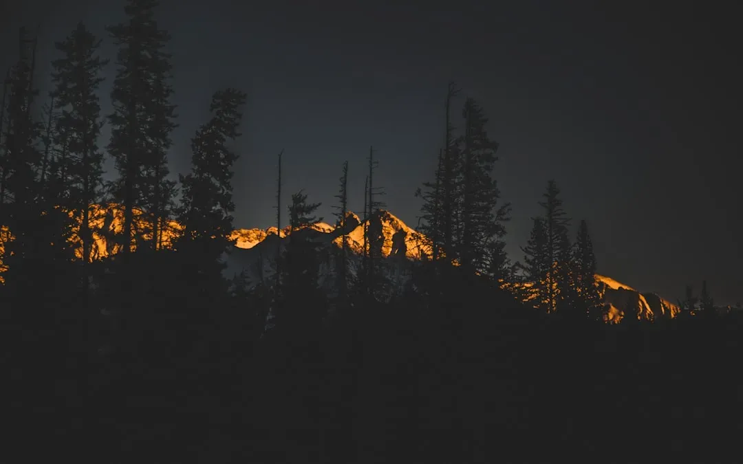 Brown Mountain, North Carolina: Ghost Lights Over an Appalachian Lab (Image Credits: Unsplash)