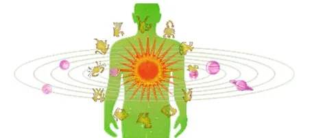 What This All Means for Understanding Ourselves (Image Credits: Wikimedia)