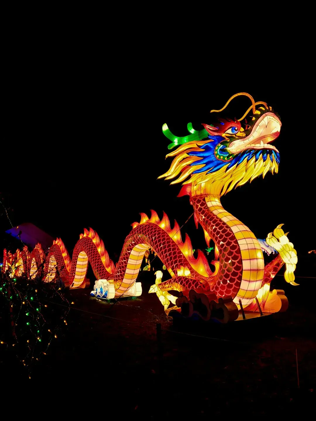 The dragon as a symbol of power and authority (Image Credits: Unsplash)