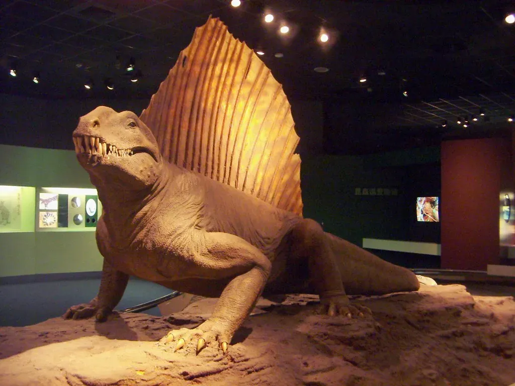 4. Dimetrodon: The Sail-Backed “Not-a-Dinosaur” That Helped Shape Mammals (kaurjmeb, Flickr, CC BY 2.0)