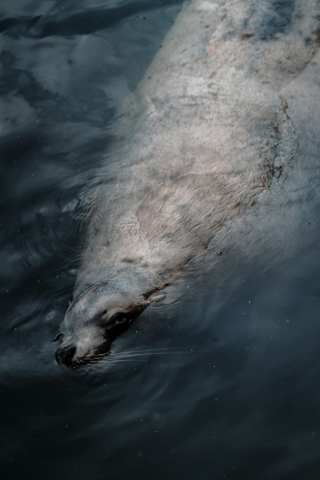 The Hidden Clues (Image Credits: Unsplash)