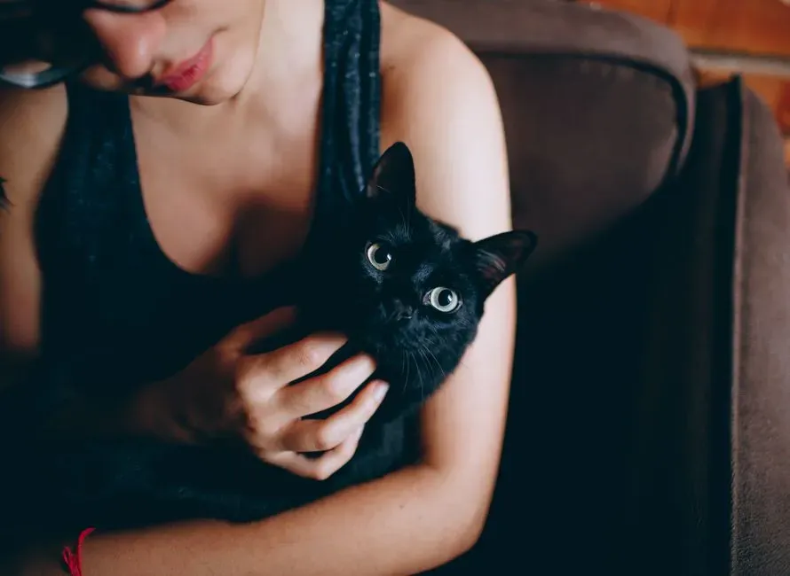 Why Your Brain Registers Animals as Unconditional (Image Credits: Pexels)