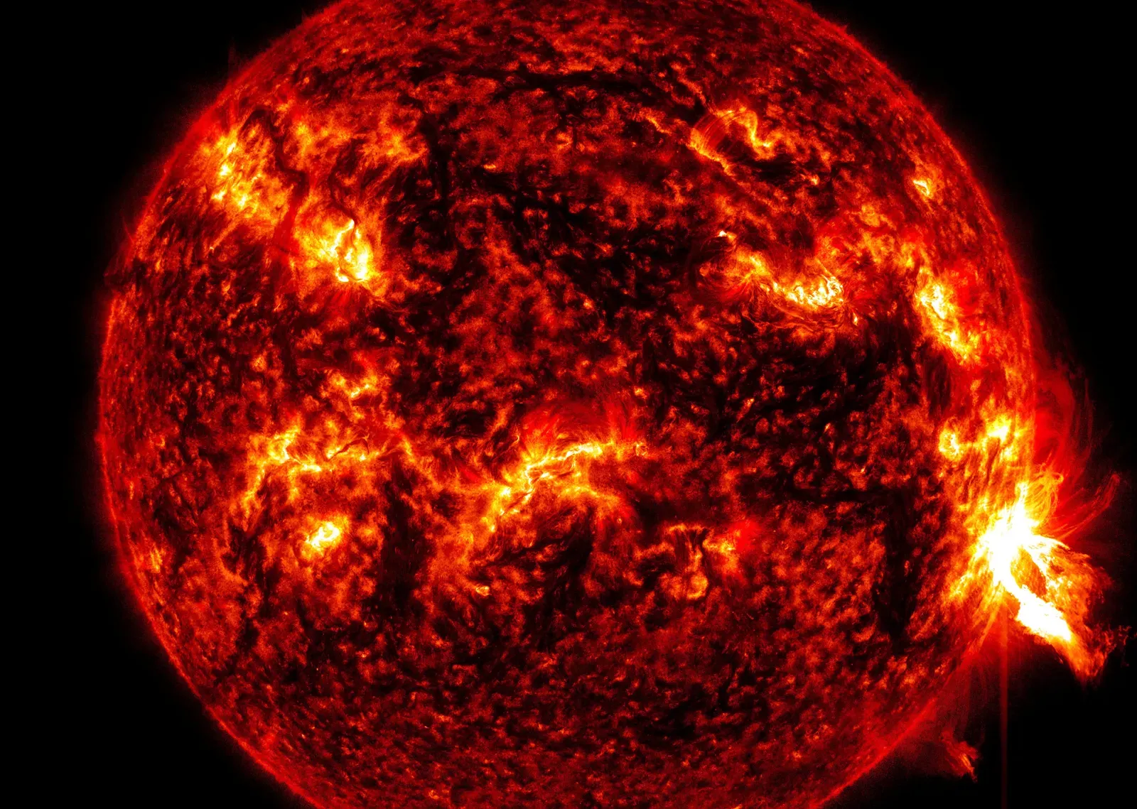 Living With a Restless Star: Why the Sun’s Secrets Matter (Image Credits: Wikimedia)