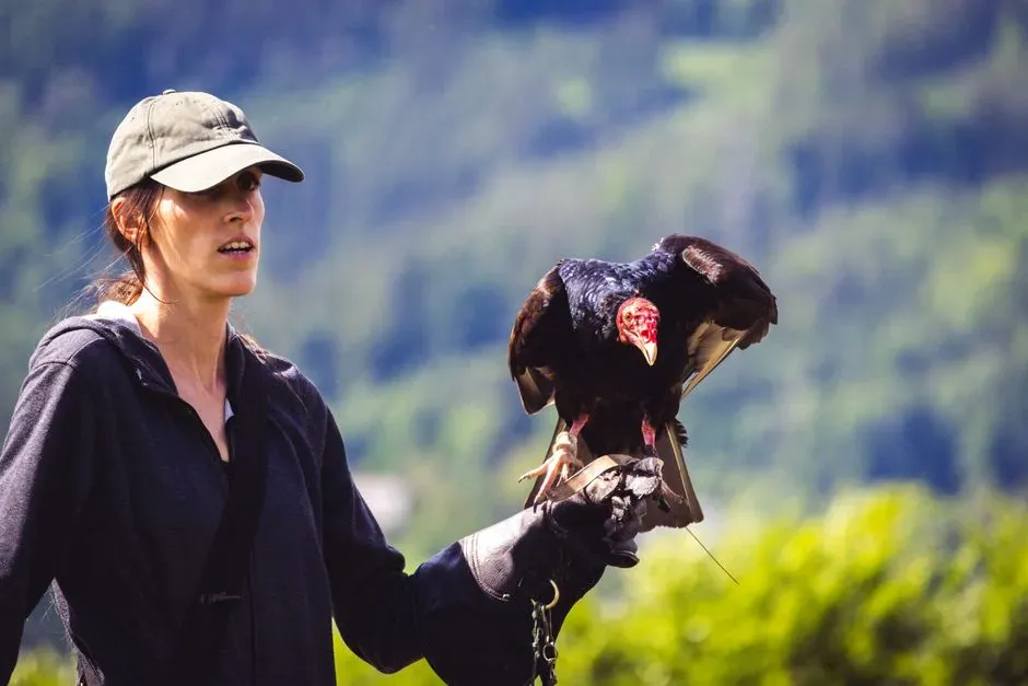 What Falconers Actually Track: Weather, Landscape, And Human Energy (Image Credits: Pexels)