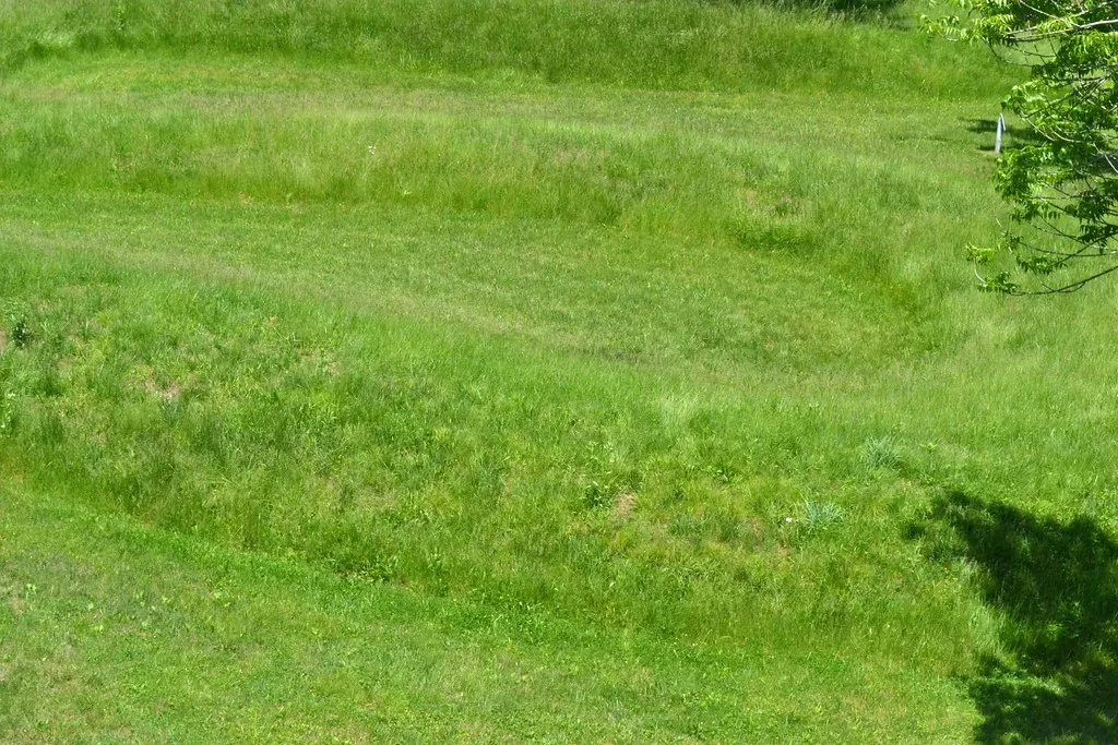 Symbolism, Ceremony, and the Power of the Serpent (Image Credits: Flickr)