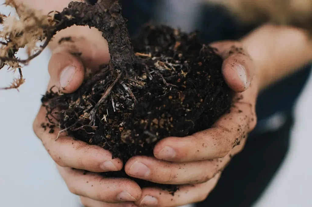 #11 - Cation Exchange Capacity Is Your Soil's Credit Score (Image Credits: Rawpixel)