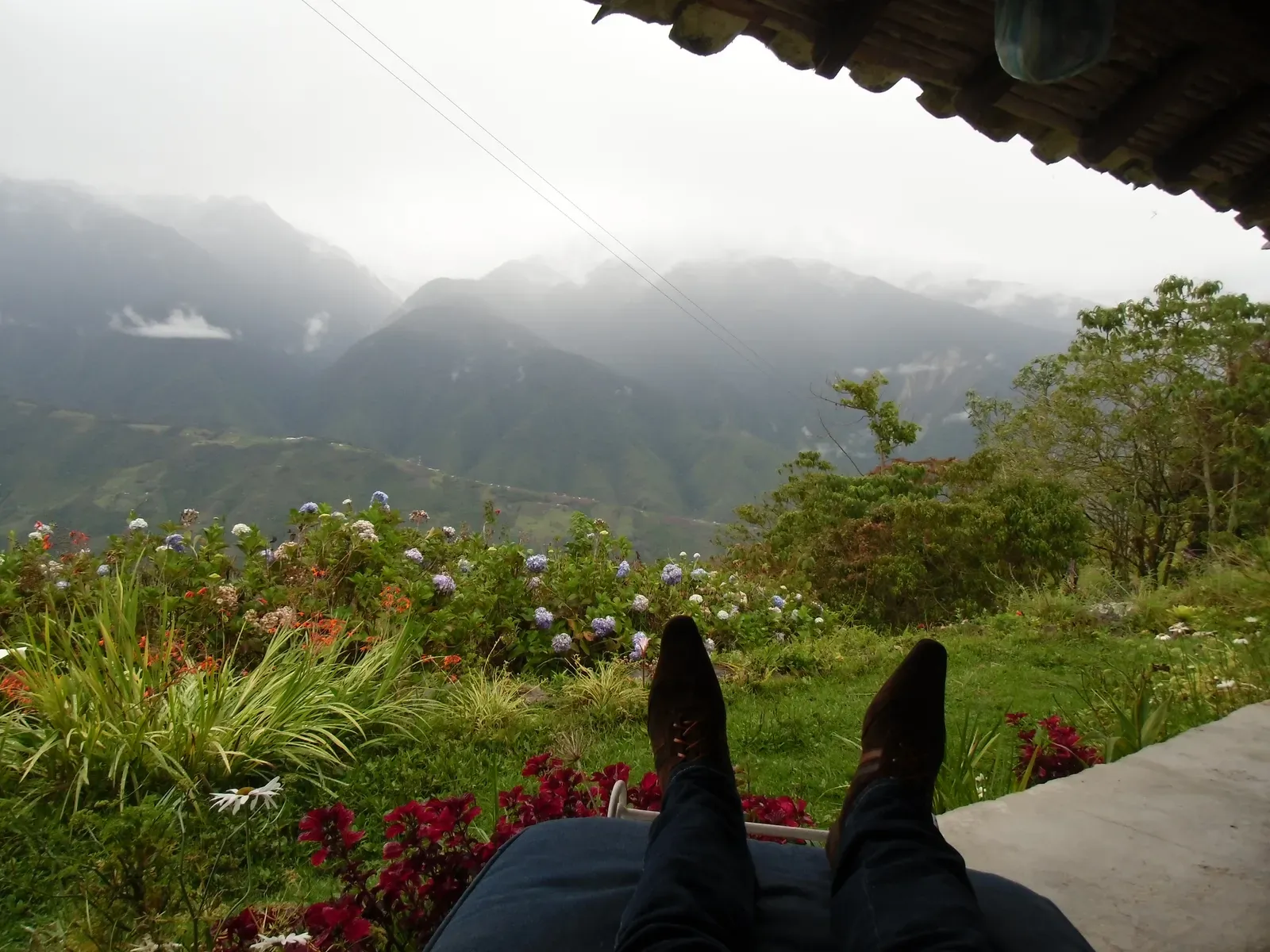 The Hidden Clues in Our Bodies and Brains (Image Credits: Wikimedia)