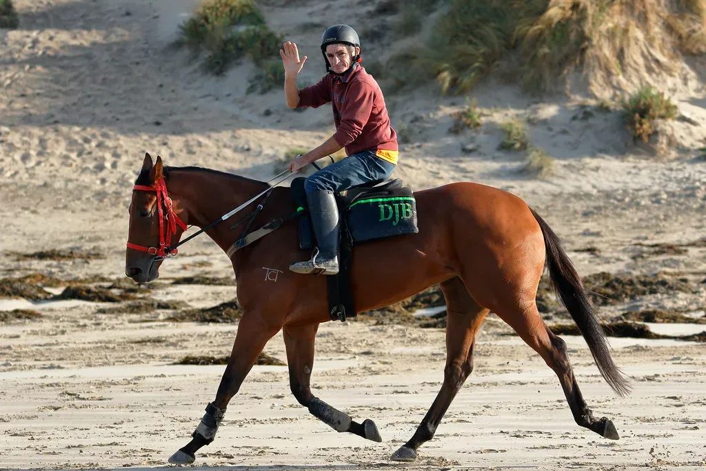 Emotional Resilience: How Horses Quietly Toughen Your Heart (blachswan, Flickr, CC BY 2.0)