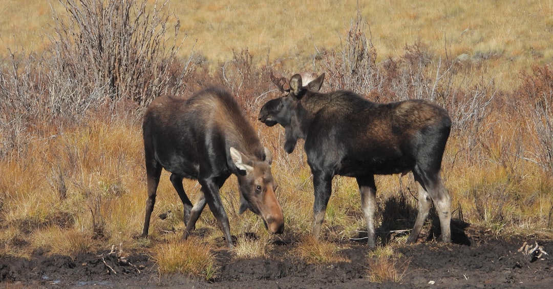 What You Can Do Now: Citizen Action That Scales (Image Credits: Unsplash)