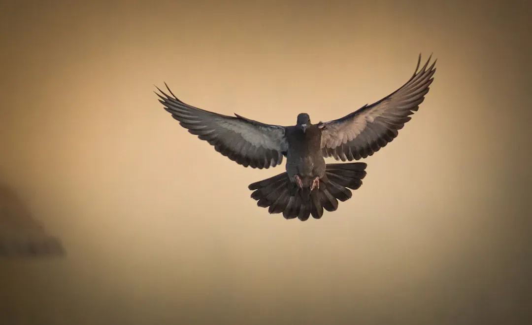 7. Their Wing Whistle Is A Built-In Alarm System (Image Credits: Unsplash)