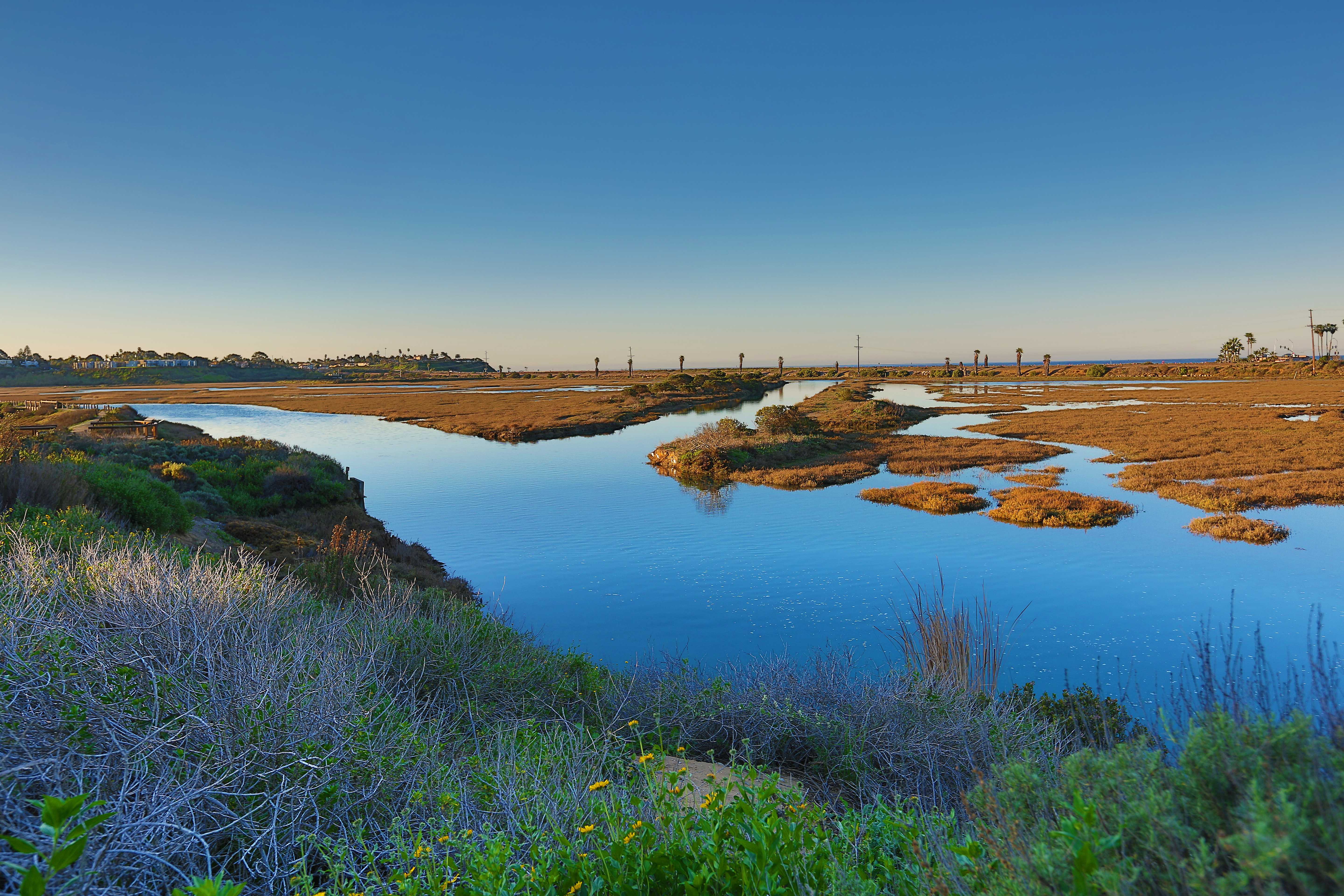 San Elijo Lagoon, California - Dredged Channels, Faster Recovery (Image Credits: Wikimedia)
