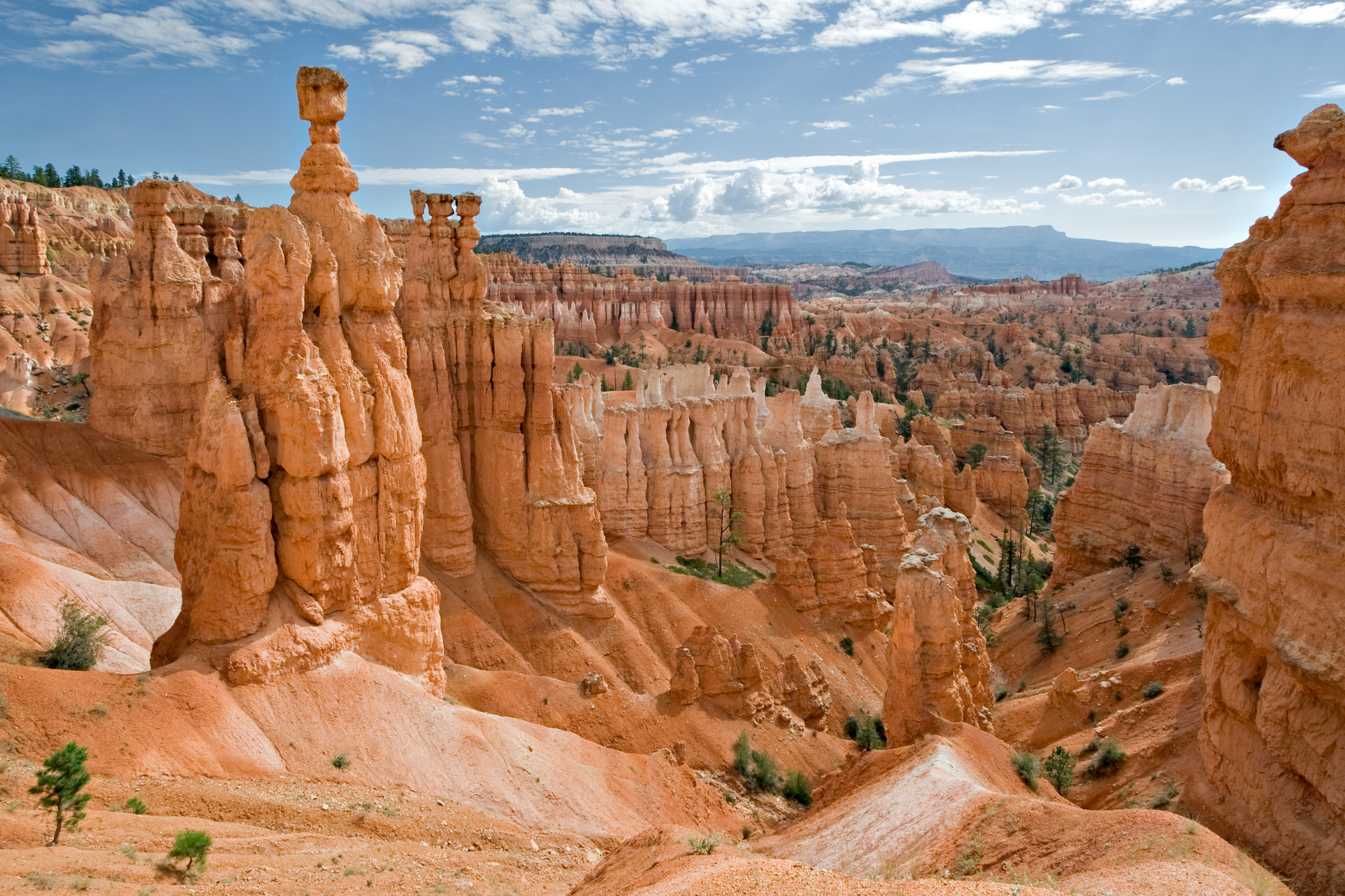 Bryce Canyon's Hoodoo Forest - Utah's Stone Sentinels (Image Credits: Wikimedia)