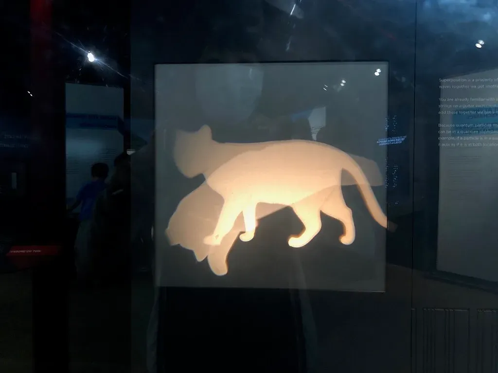 4. Quantum Superposition: Everything Exists in Multiple States at Once (Sharon Hahn Darlin, Flickr, CC BY 2.0)