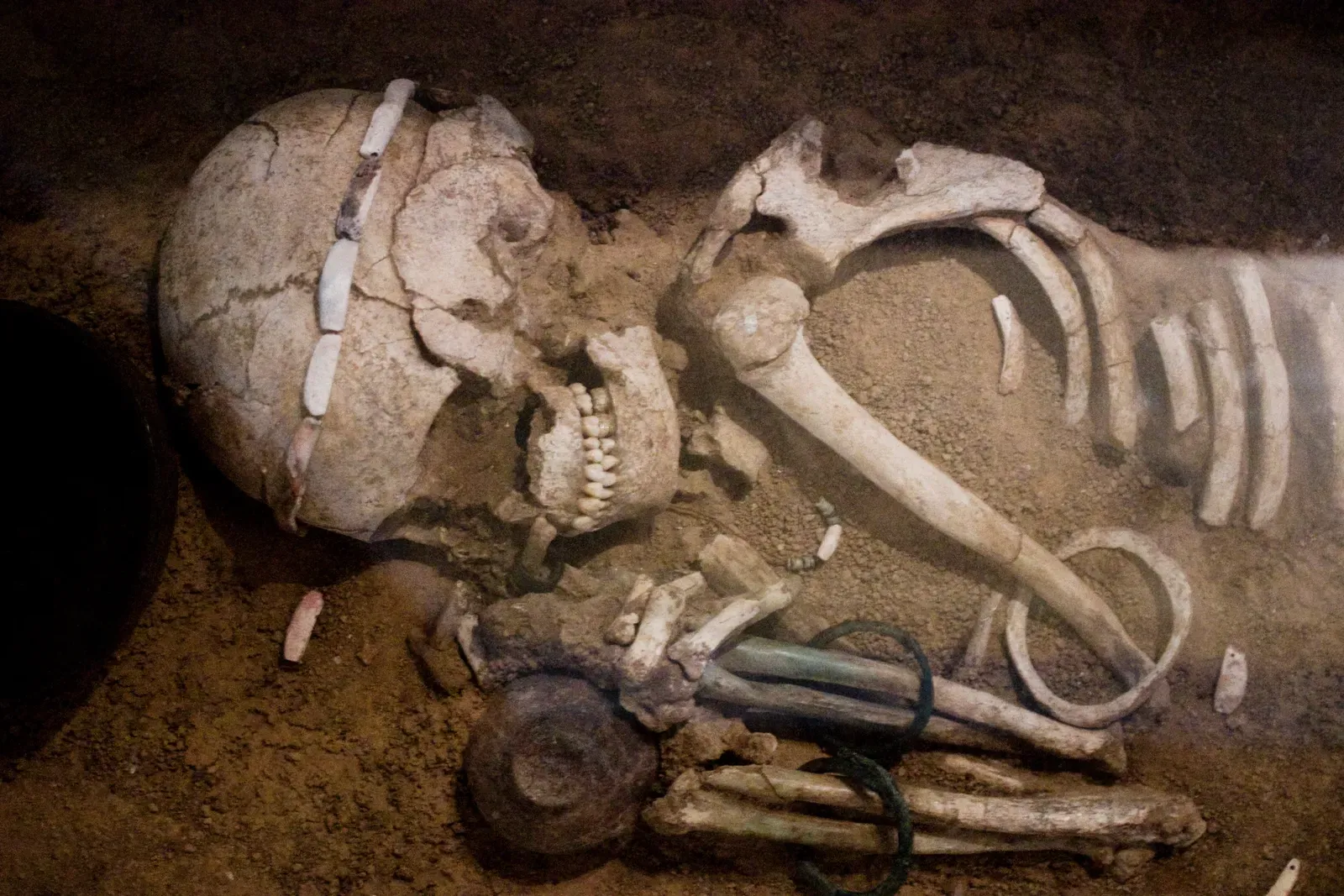 #4 - Human Remains Without Traceable Contexts (originally posted to Flickr as Sofia - Skeleton from the Durankulak Necropolis, CC BY 2.0)