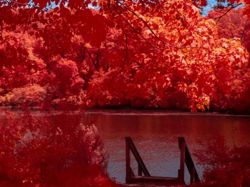 The Allure - and the Responsibility - of Visiting a Red Lake (Image Credits: Pexels)