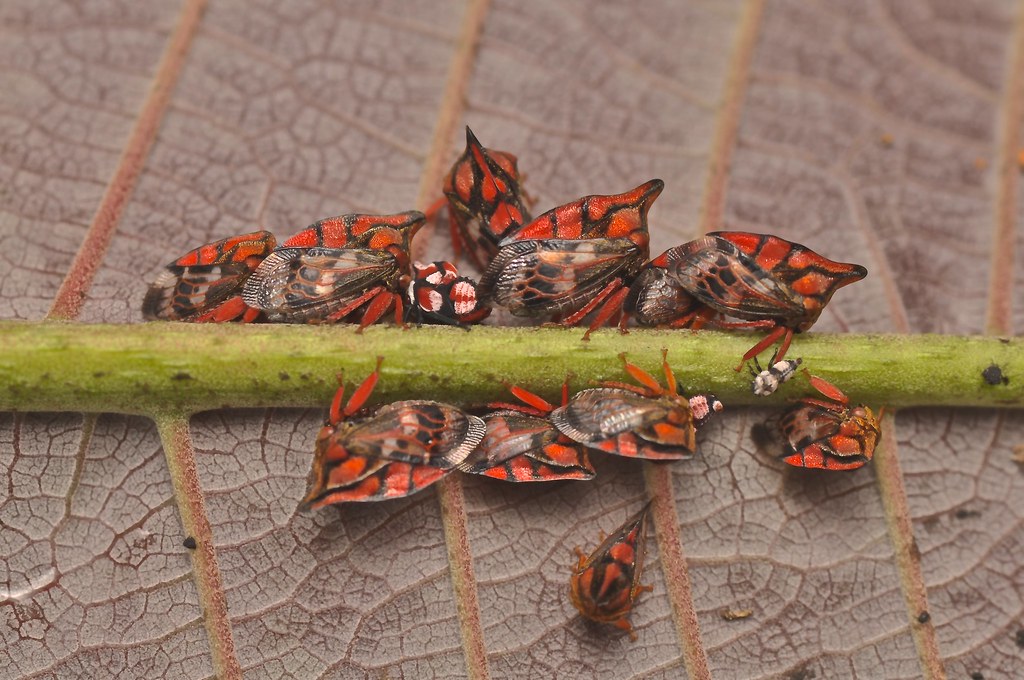 Mothers Are Fierce Protectors With Sophisticated Parenting Skills (Image Credits: Flickr)