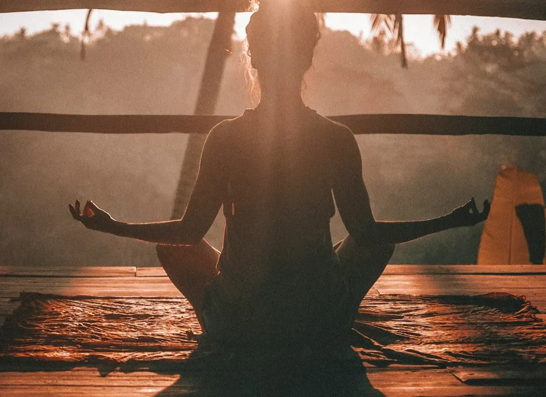 Designing Your Own Longevity Blueprint (Image Credits: Unsplash)