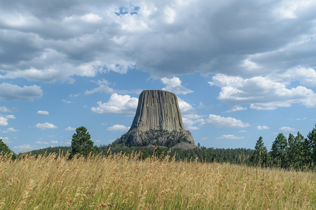 Devils Tower - Wyoming's Mysterious Volcanic Pillar (Image Credits: Unsplash)