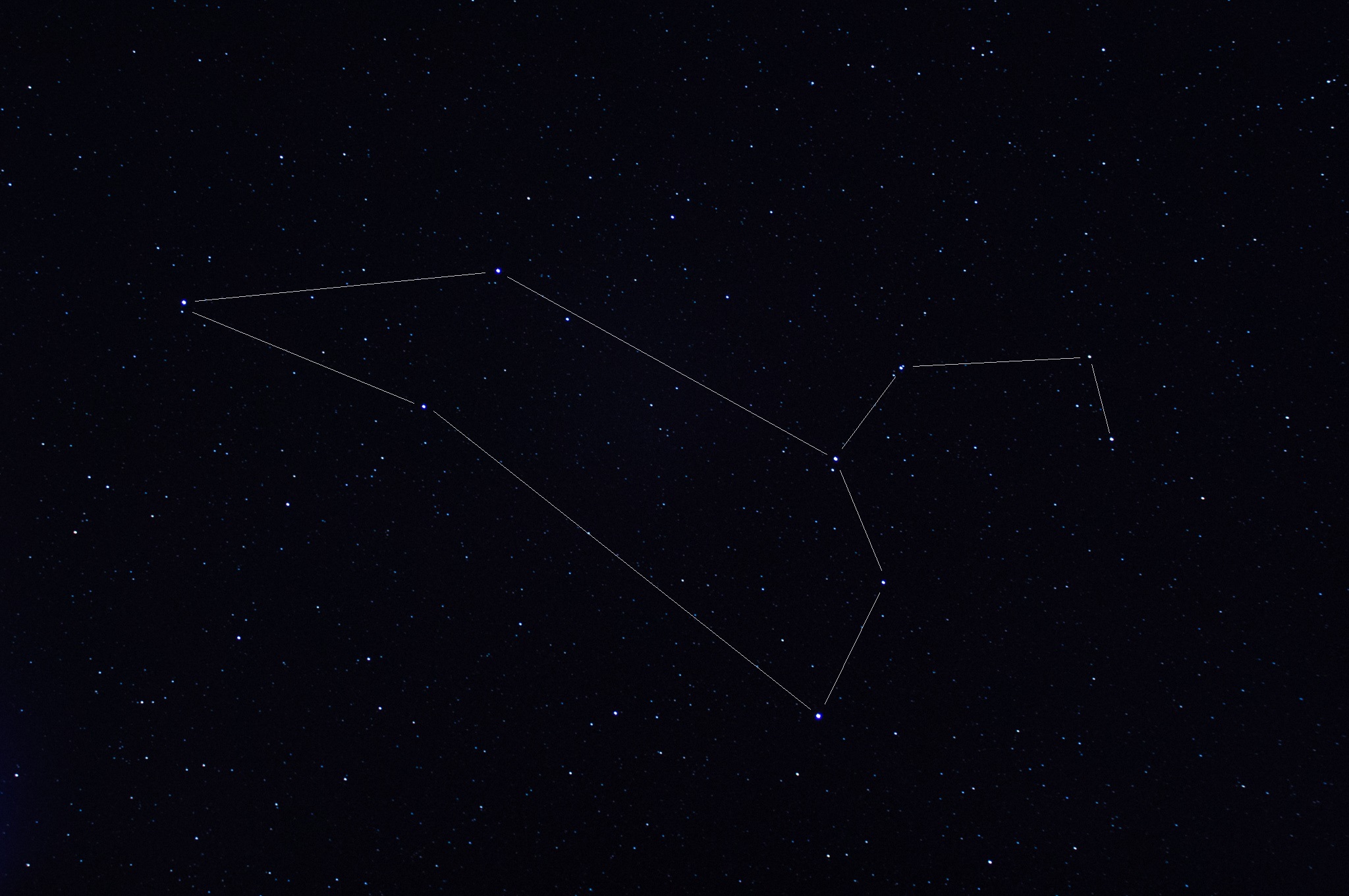 Leo: The Lion's Noble Heart (Image Credits: Wikimedia)