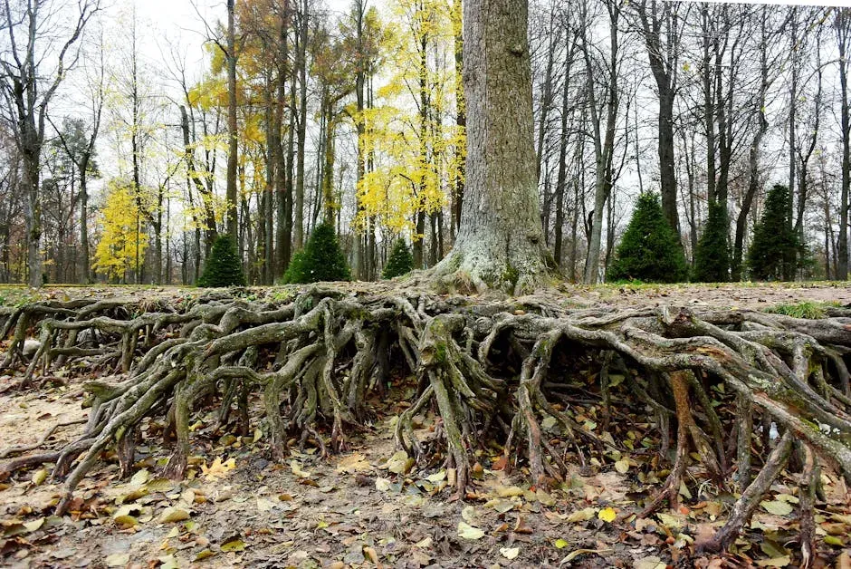 Kin Recognition: Do Plants Actually Favor Their Own Relatives? (Image Credits: Pexels)