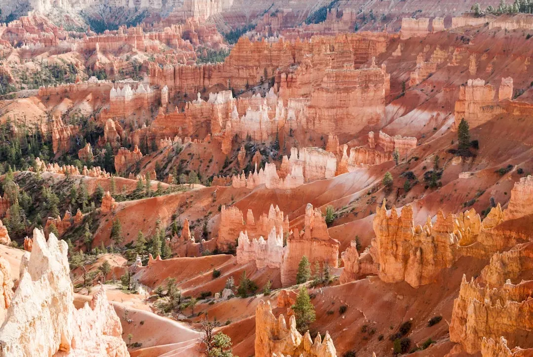 6. Bryce Canyon, Utah: An Amphitheater of Stone Spires (Image Credits: Unsplash)
