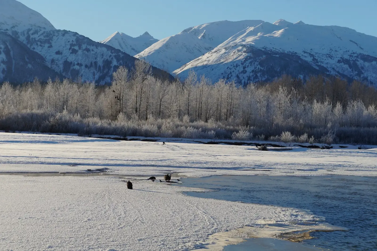 4. Alaska’s Chilkat River (Haines, Alaska) (By Mbochart, CC BY-SA 4.0)