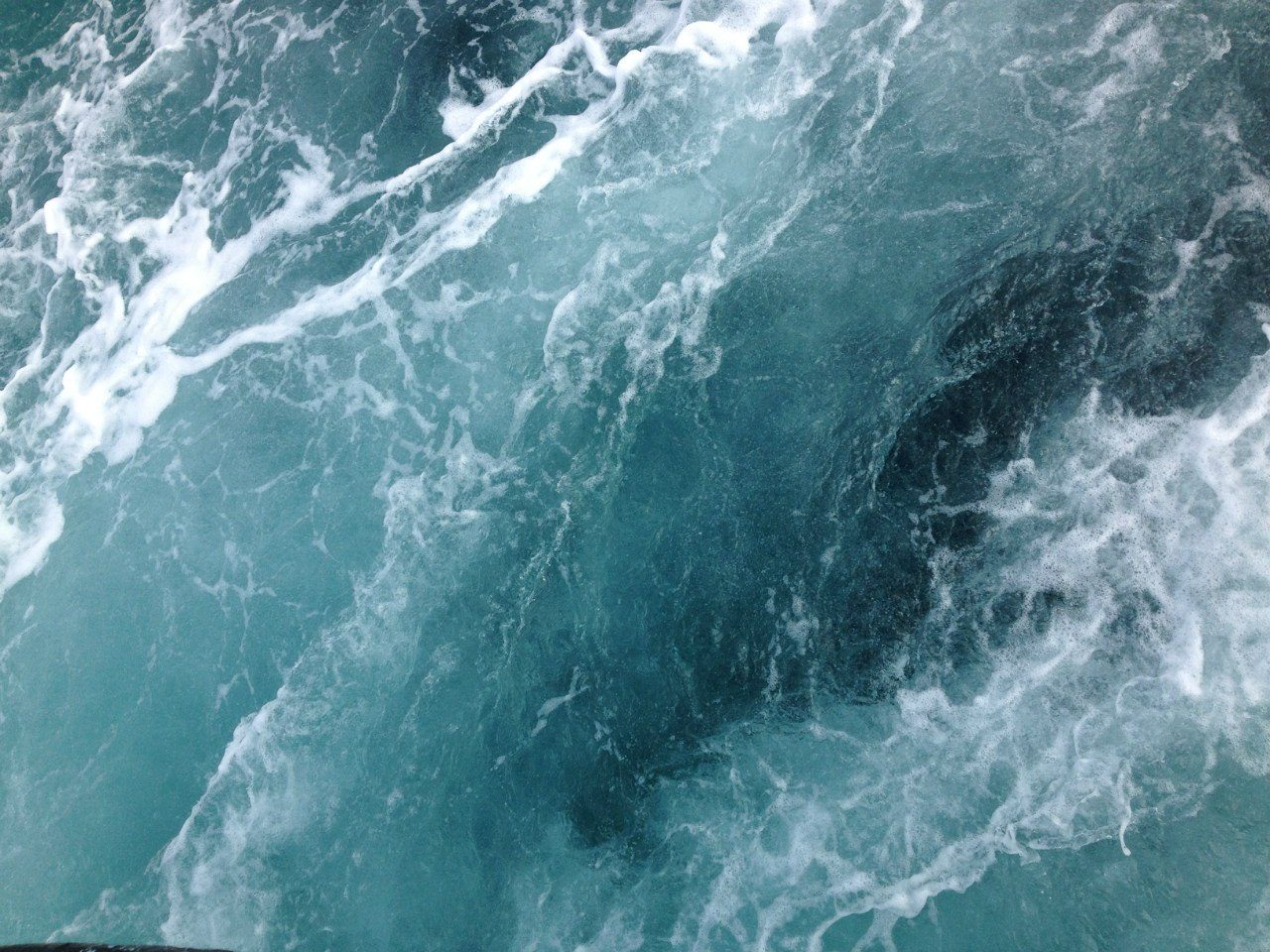 How You Can Stay Engaged With the Ocean’s Unsolved Stories (Image Credits: Wikimedia)