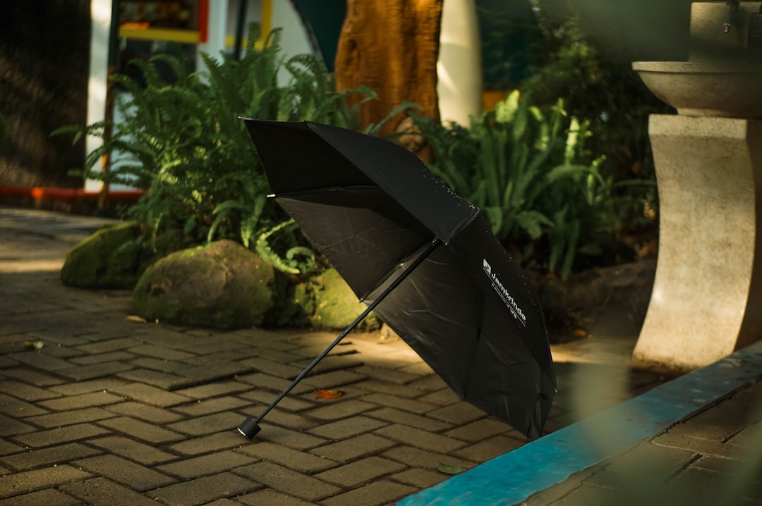 Opening Umbrellas Indoors: Victorian Engineering Creates Modern Fears (Image Credits: Unsplash)
