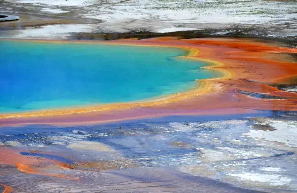Visiting the Beast: How to Explore Yellowstone Safely and Respectfully (Image Credits: Rawpixel)