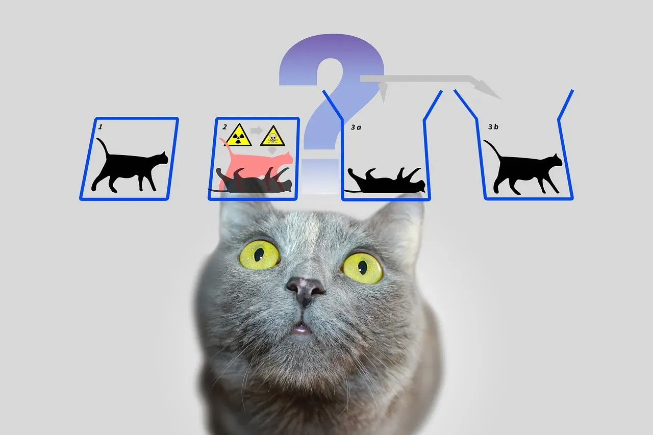 The Measurement Problem: When Observation Refuses To Be “Just Physics” (Image Credits: Pixabay)