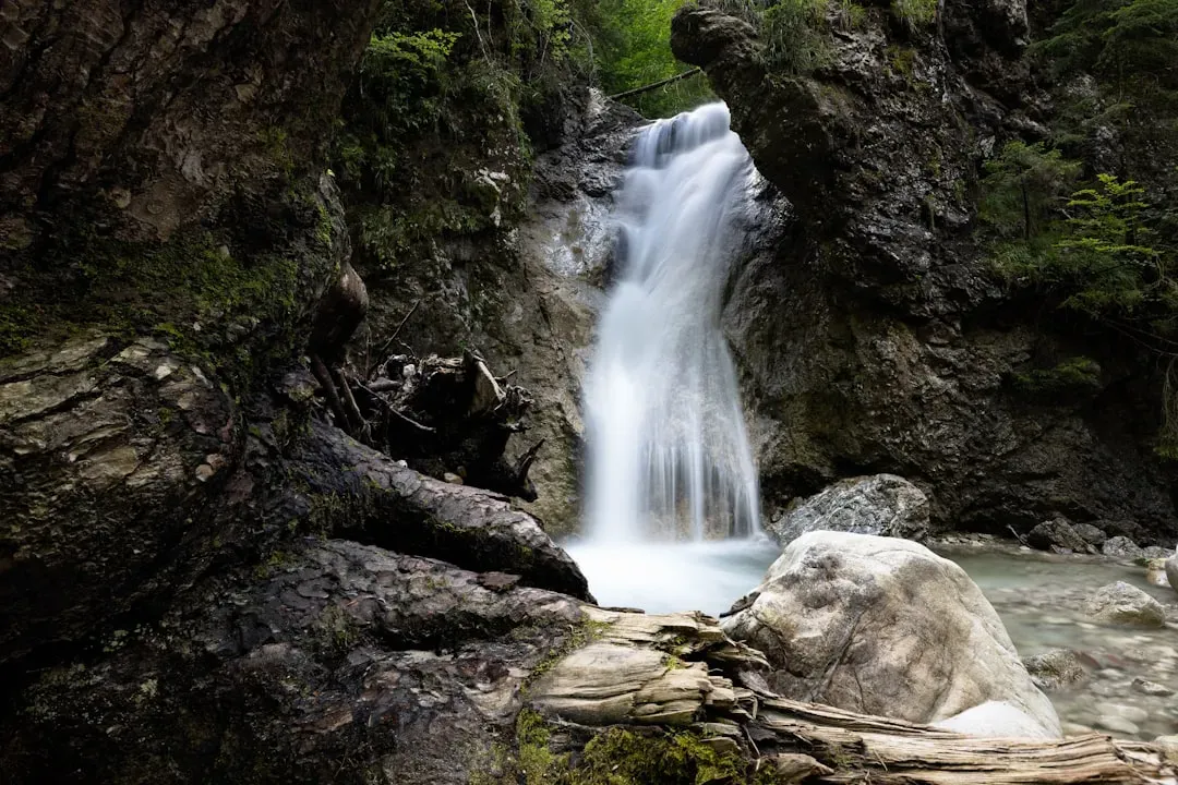 Conclusion: The Wonders Hiding Between the Headlines (Image Credits: Unsplash)